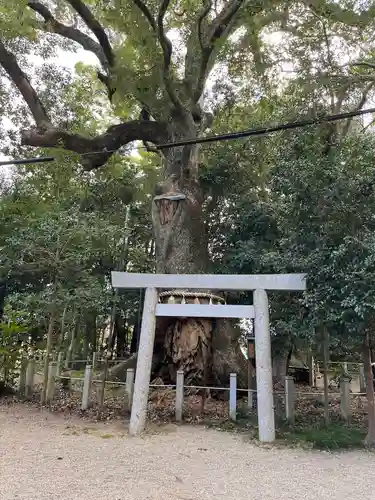 松阪神社(三重県)