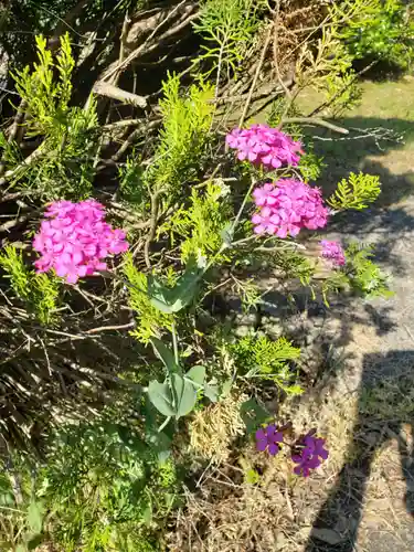 三上神社の自然