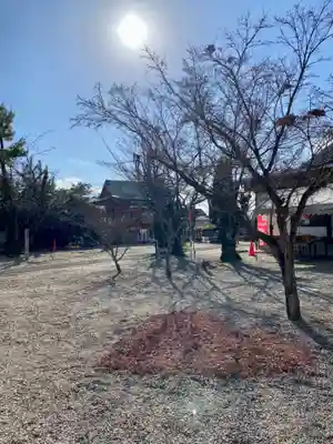 山城ゑびす神社のその他建物