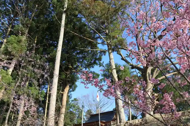 阿久津「田村神社」(郡山市阿久津町)旧社名:伊豆箱根三嶋三社の景色