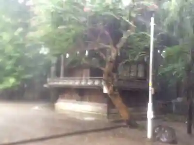 宇都宮二荒山神社の本殿・本堂