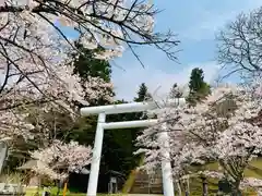 土津神社｜こどもと出世の神さまの鳥居