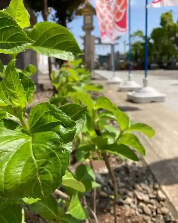 總社 和田八幡宮の庭園