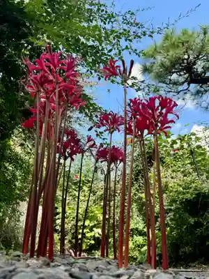 勝念寺（かましきさん）(京都府)