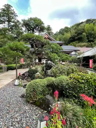 目の霊山　油山寺(静岡県)