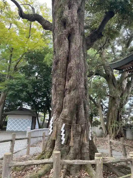 小宅神社のその他建物
