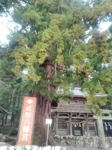 武田八幡宮の山門