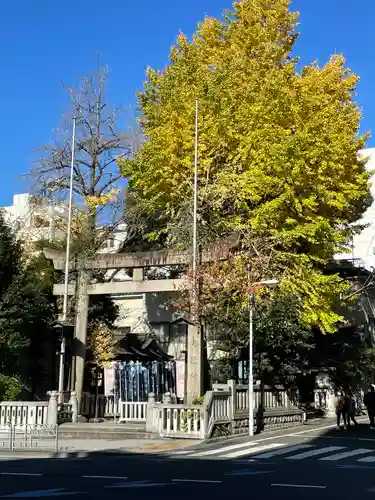 鳥越神社の鳥居