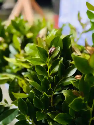 守りの神　藤基神社(新潟県)