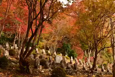 金剛寺(高知県)