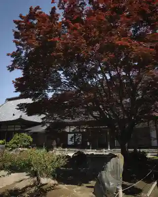 福増寺(群馬県)