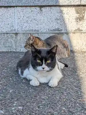 白金氷川神社(東京都)