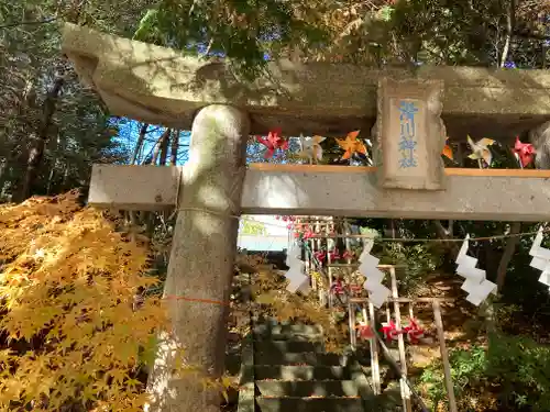 滑川神社 - 仕事と子どもの守り神の鳥居