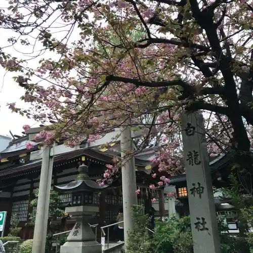 白龍神社の鳥居