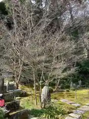 応聖寺(兵庫県)