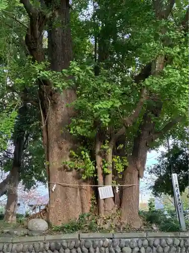 豊積神社(静岡県)
