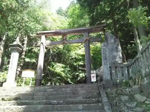 戸隠神社宝光社の鳥居