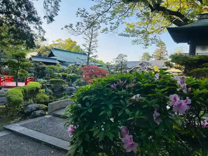 大井神社(静岡県)