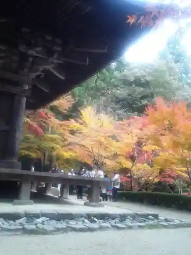 金剛輪寺の建物その他