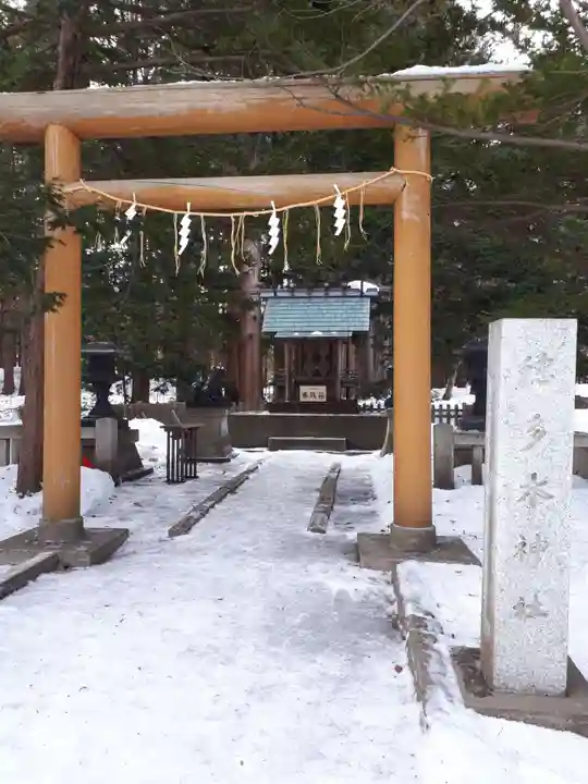 北海道神宮の鳥居