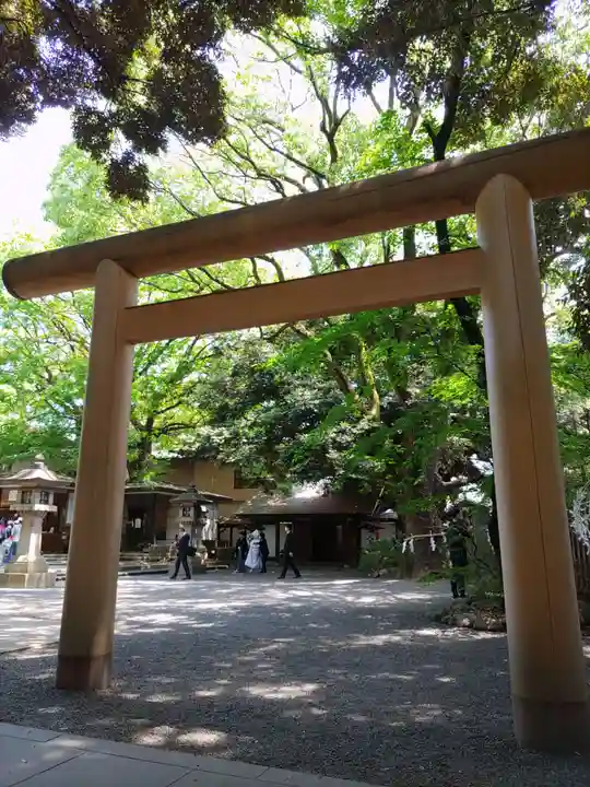 乃木神社の鳥居