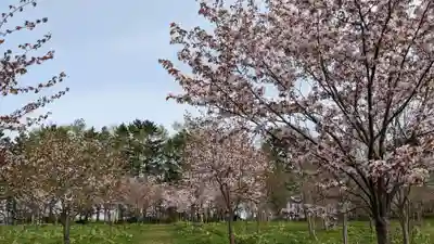 金刀比羅神宮の周辺