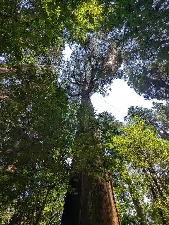 高千穂神社(宮崎県)