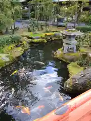 大井神社(静岡県)