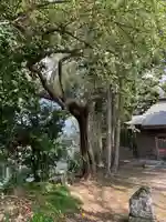 熊野神社(千葉県)
