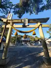 幡頭神社の鳥居