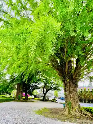 星谷寺の{uncategorized: "未分類", other: "その他", undefined: "問題あり", building: "その他建物", grave: "お墓", sacred_gate: "鳥居", guardian: "狛犬", statue: "像", buddha: "仏像", history: "歴史", nature: "自然", garden: "庭園", animal: "動物", pagoda: "塔", temizu: "手水舎", mountain_gate: "山門・神門", sanctuary: "本殿・本堂", subordinate: "末社・摂社", art: "芸術", scenery: "景色", jizo: "地蔵", ema: "絵馬", goshuin: "御朱印", omikuji: "おみくじ", items: "授与品その他", amulet: "お守り", goshuincho: "御朱印帳", eats: "食事", festival: "お祭り", votive_dance: "神楽", shichigosan: "七五三参", wedding: "結婚式", experience: "体験その他", initially: "初詣", around: "周辺", anti_infection: "感染症対策"}