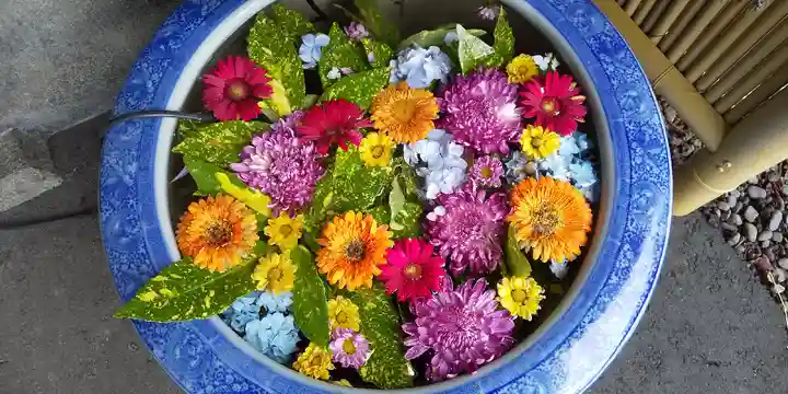 多賀神社の手水舎