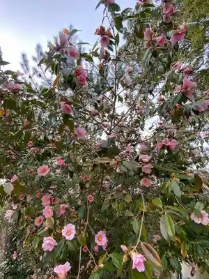 長岡天満宮(京都府)