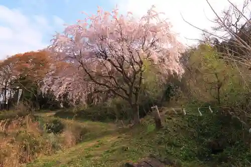 八幡神社の庭園