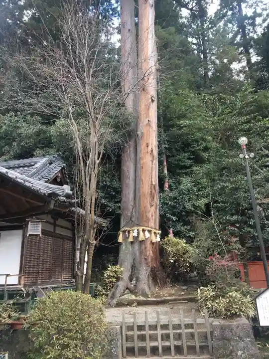 宇太水分神社の自然