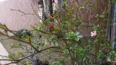 神明社（国府宮神明社）の周辺