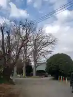 妙楽寺のその他建物