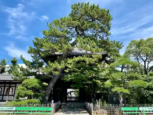 泉岳寺(東京都)