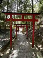 瀧谷不動尊　明王寺の鳥居