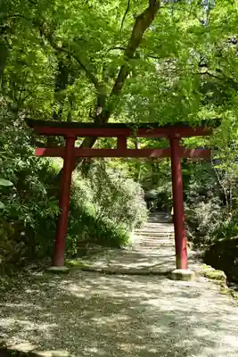岡寺(龍蓋寺)(奈良県)
