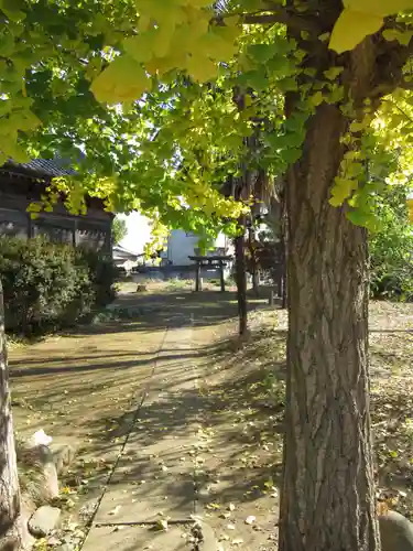 八幡神社(千葉県)
