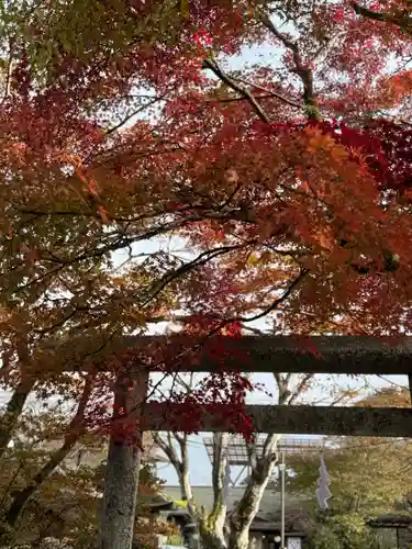 熊野皇大神社(長野県)