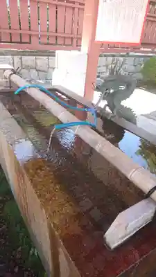 津島神社の手水舎