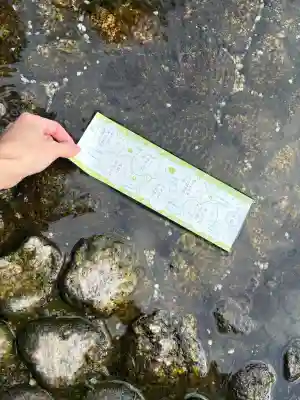 賀茂御祖神社（下鴨神社）の{uncategorized: "未分類", other: "その他", undefined: "問題あり", building: "その他建物", grave: "お墓", sacred_gate: "鳥居", guardian: "狛犬", statue: "像", buddha: "仏像", history: "歴史", nature: "自然", garden: "庭園", animal: "動物", pagoda: "塔", temizu: "手水舎", mountain_gate: "山門・神門", sanctuary: "本殿・本堂", subordinate: "末社・摂社", art: "芸術", scenery: "景色", jizo: "地蔵", ema: "絵馬", goshuin: "御朱印", omikuji: "おみくじ", items: "授与品その他", amulet: "お守り", goshuincho: "御朱印帳", eats: "食事", festival: "お祭り", votive_dance: "神楽", shichigosan: "七五三参", wedding: "結婚式", experience: "体験その他", initially: "初詣", around: "周辺", anti_infection: "感染症対策"}