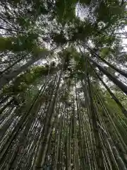 御嶽神社茅萱宮の自然