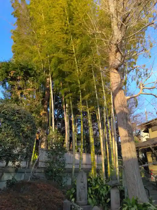 東運寺(東京都)