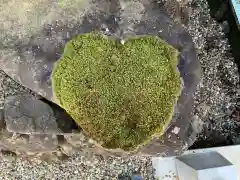 明智神社の自然