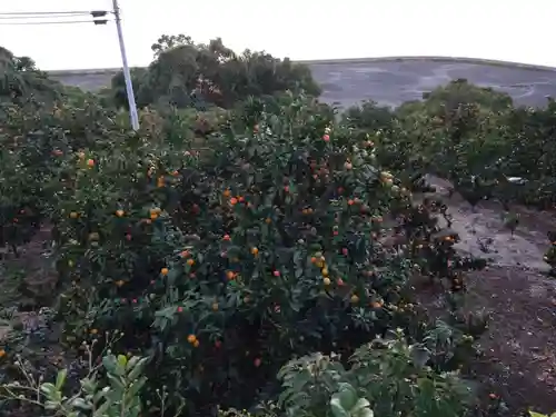 河内阿蘇神社(熊本県)