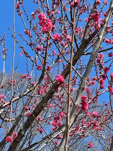 常磐神社(茨城県)