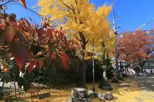 阿邪訶根神社の庭園